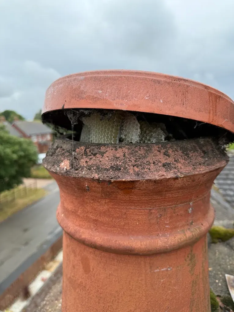 Honeycomb built inside a chimney pot under the cap