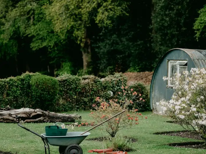 Garden with a wheelbarrow and shed