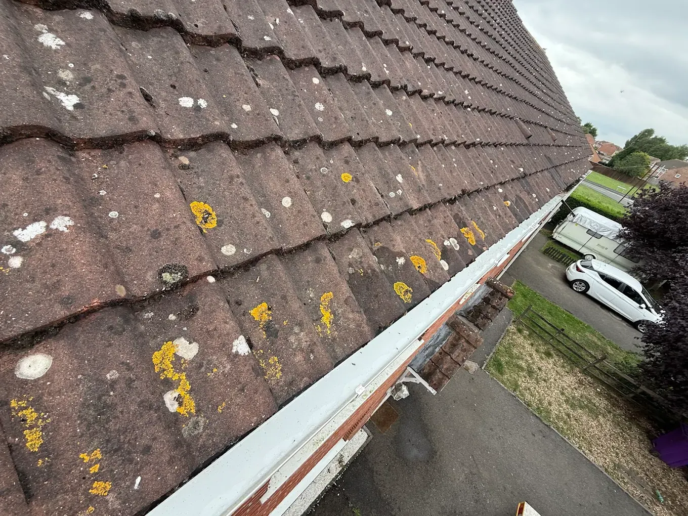 Clean gutter running along a tiled roof