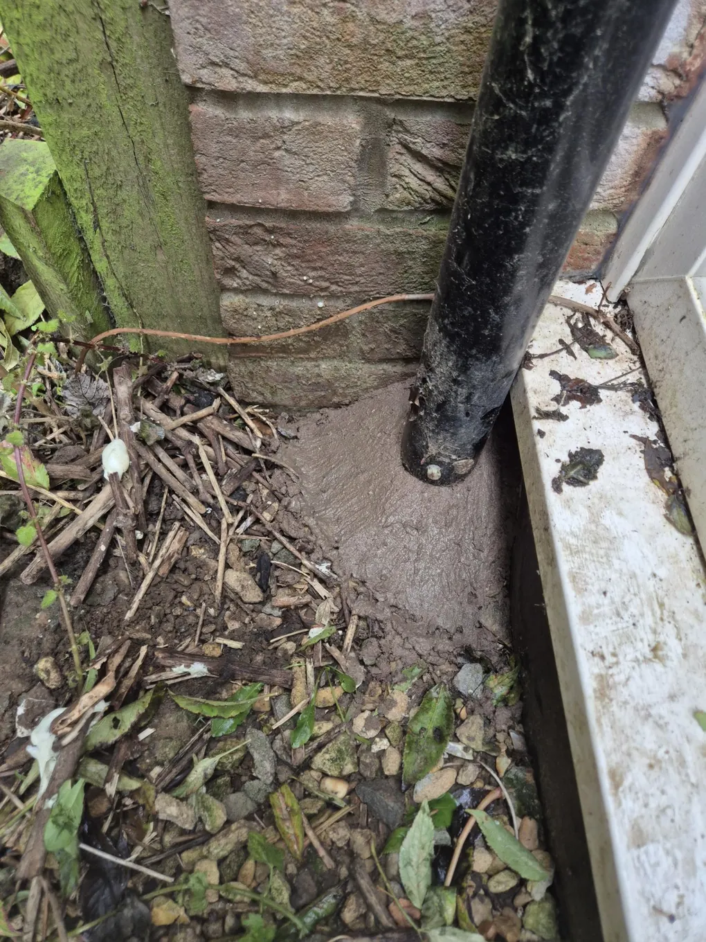 After: An open gap around a downpipe where it meets the drain, then sealed so rats cannot get out of the drain.