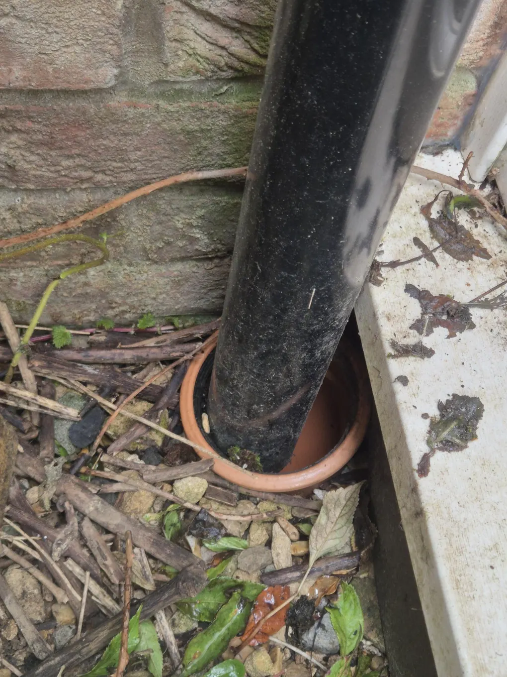 Before: An open gap around a downpipe where it meets the drain, then sealed so rats cannot get out of the drain.