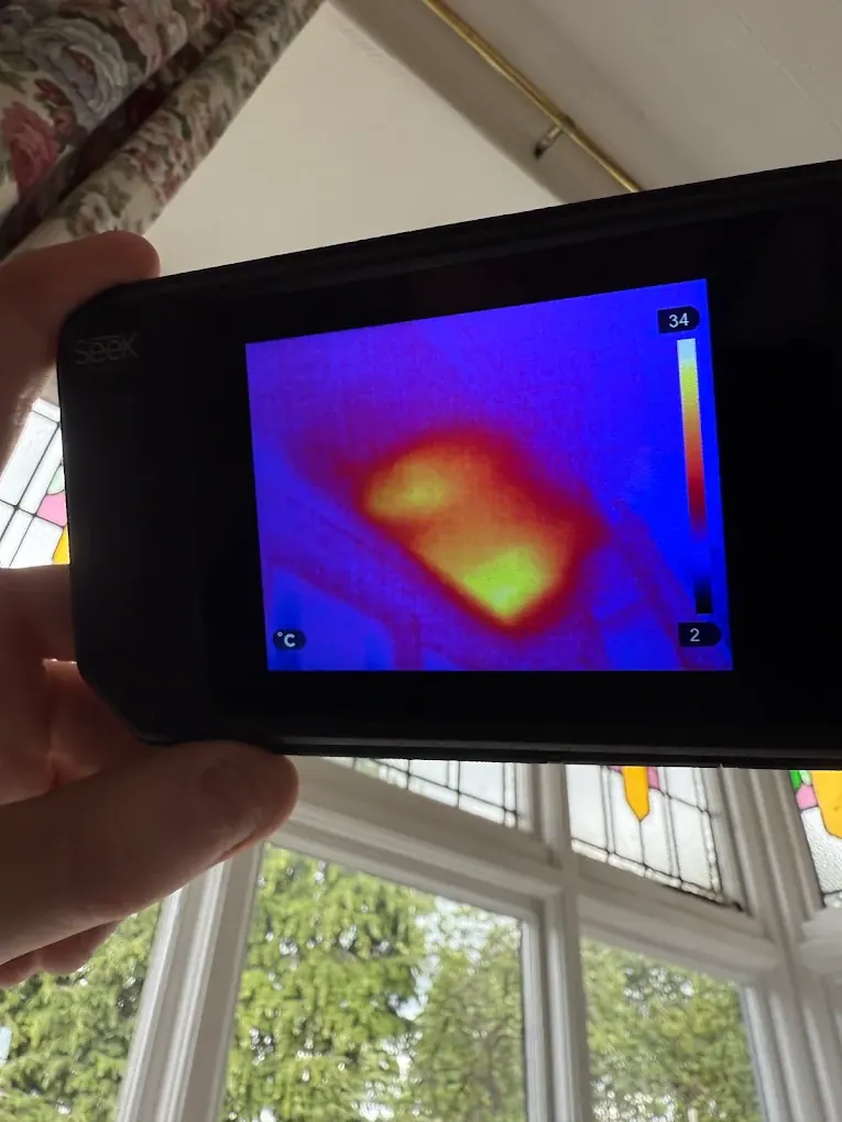Thermal camera finding a bee nest