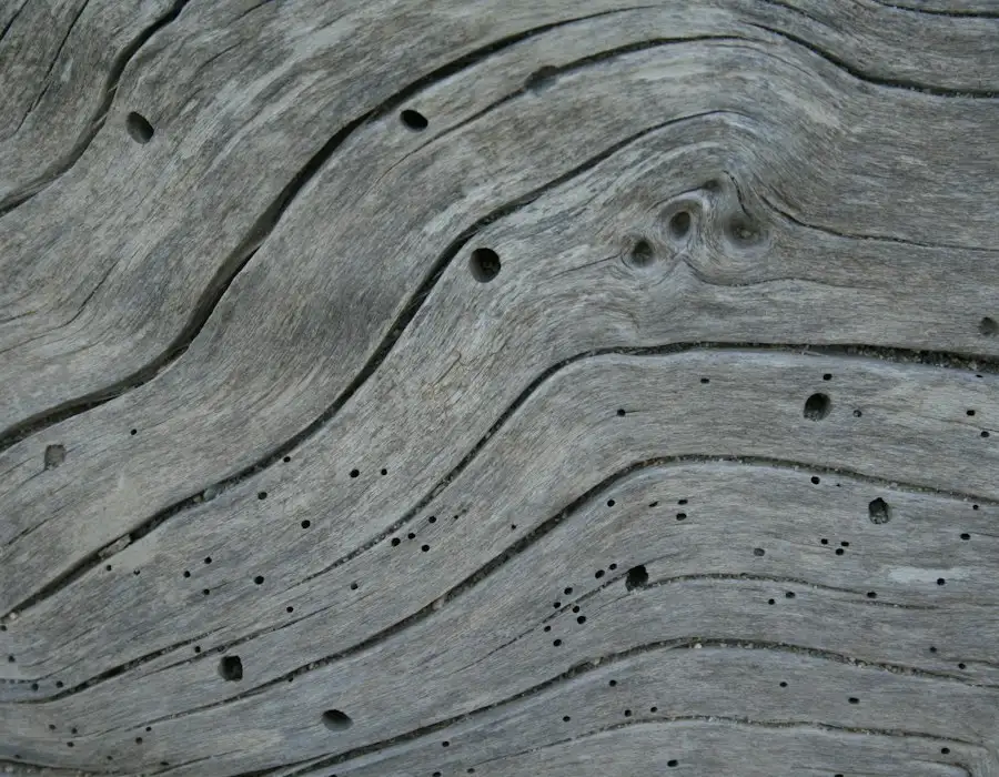 Weathered timber with small holes